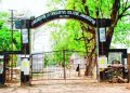 Jamshedpur Cooperative College